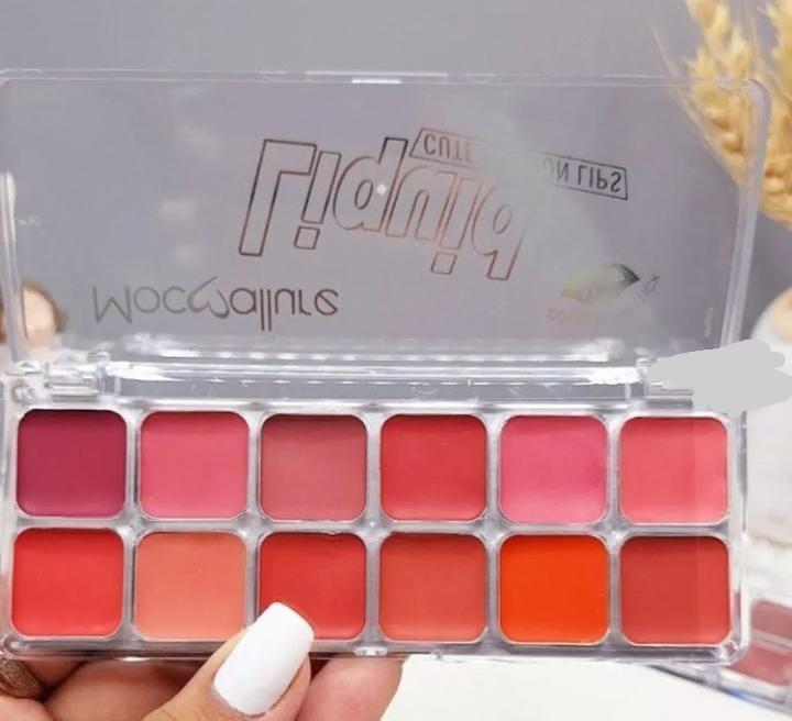 Moccollure 12 Shade Bold Coverage Lipstick Blush Palette