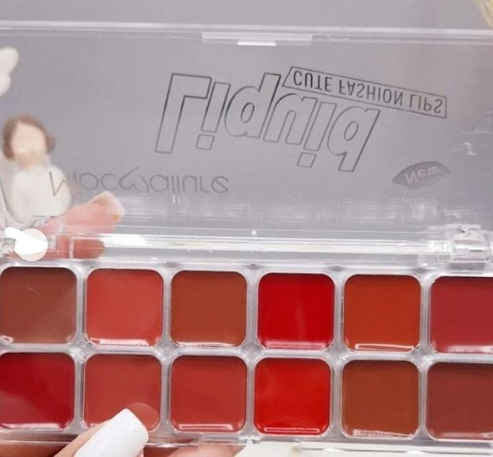 Moccollure 12 Shade Bold Coverage Lipstick Blush Palette